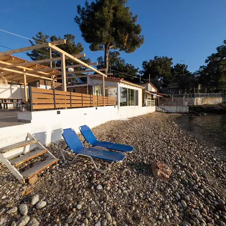 Navis Luxury